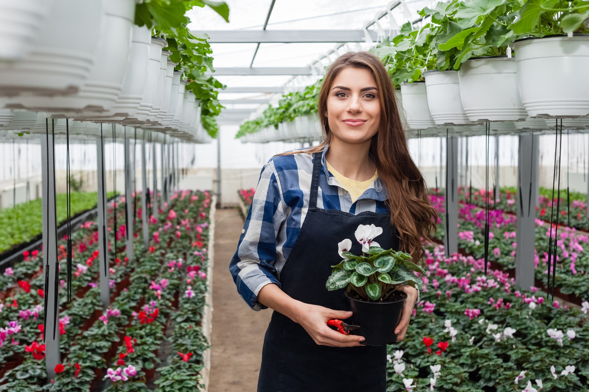 Ik help graag met een kleine bijdrage